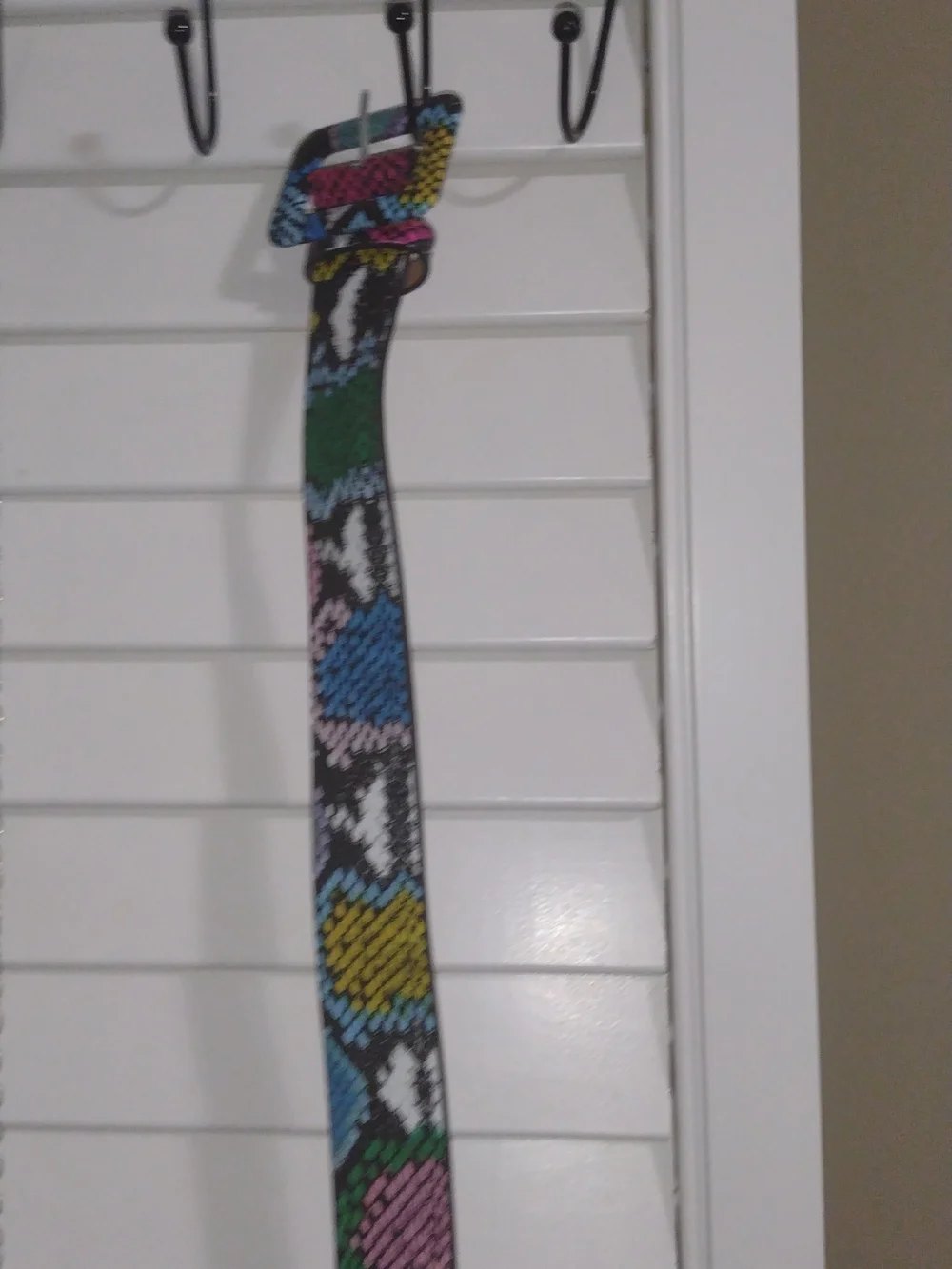 Colorful Multicolor Snake-Print Crossbody Bag And Matching Belt.